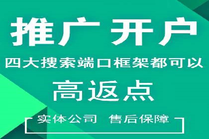 精准投放，sem竞价代运营的五大成功投放案例